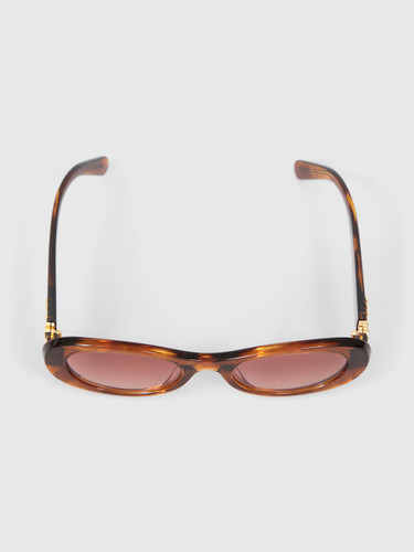 Miu Miu Striped Tobacco Oval Sunglasses
