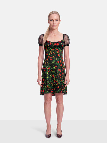 Dolce & Gabbana Rose Print Knee Length Dress