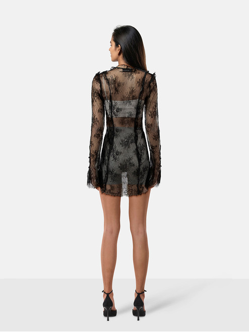 Rat & Boa Black Luana Lace Mini Dress