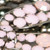 Philippe Ferrandis Pink Embellished Bow Choker