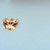 Cartier Gold Mirrored Panther Sunglasses