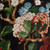 Alice + Olivia Floral Silk Neck Tie Top
