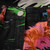 Balenciaga Tropical Patterned Jeans