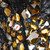 Roberto Cavalli Star Embellished Sequin Dress