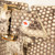 Emilio Pucci Python Runway Shorts