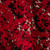 Missoni Red Wool Abstract Patterned Coat