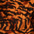 Walter Baker Orange Tiger Print Dress