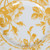 Gucci Set of Two Yellow Herbarium Dessert Plate
