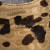 Manolo Blahnik Beige Leopard Print Pointed Heels