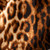 Céline Brown Leopard Print Wool Skirt