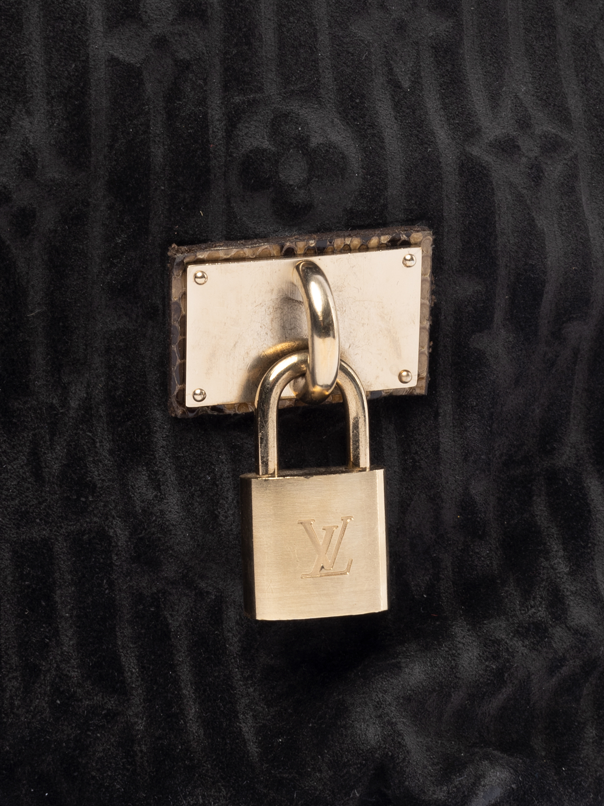 Louis Vuitton Limited Edition Kohl Monogram Embossed Suede Whisper