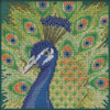 Stitched area of Proud Peacock Cross Stitch Kit Mill Hill 2020 Buttons & Beads Spring MH142016