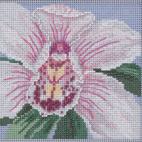 Cotton Clara Midnight Floral Cross Stitch Kit - 洋書