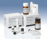 DRI pH-Detect Specimen Validity Tests, 500 mL, Box/1