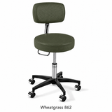 Ritter® 277 Classic Series, Air Lift Stool, Backrest Air Lift, Pneumatic Height Adjustment, Hand Controlled, 8 Inch Hand Ring, 5 Casters, Item/1