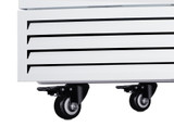 9.53 Cu. Ft. Upright Vaccine All-Freezer