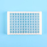96 Well ELISA Plate, 8-Well, Detachable, High Binding, White Frame & CLear Well, Flat Bottom Wells, High Binding, 10 plates/bag, 200 plates/case