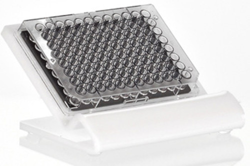 Well Plate Stand for Preparing PCR and qPCR Assays, Item/1
