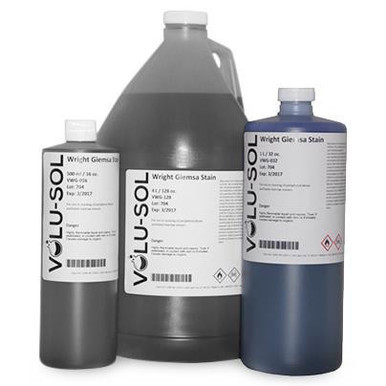 Wright-Giemsa Modified Stain, 3.78 L (128 oz), Case/4
