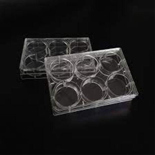 6 Well Cell Culture Plate, Flat, TC Treated, Sterile, Individually Wrapped in Peelable Film, 1 plate/pack, 50 plates/case