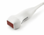 Phased array probe: P7-3Q - Pediatric