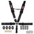 Camlock Racing Harness 3-inch 
