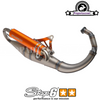 Exhaust Stage6 Pro Replica MKII for Minarelli Vertical