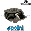 Cylinder Kit Polini Evolution 70cc, 10mm Cast Iron for Minarelli Vertical