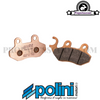 Brake Pads Polini Sintered for PGO / Genuine 50cc 2T
