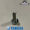 Disc Brake Screw (1) for Yamaha Bws/Zuma 2002-2011