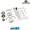 Crankcase Polini P.R.E 100cc - (Piaggio) Disc