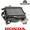 Radiator Assy. for Honda Ruckus