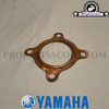 Gasket, Cylinder Head for Yamaha Bws/Zuma 2002-2011