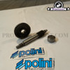 Primary Gear Kit Polini HQ (13/44) - Minarelli