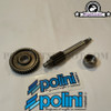 Primary Gear Kit Polini HQ (13/44) - Minarelli
