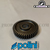 Primary Gear Kit Polini HQ (13/44) - Minarelli