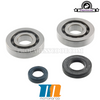 Crankshaft Bearing Motoforce (PGO/Genuine)