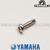 Screw, Tapping for Lens, Flasher for Yamaha Bws/Zuma 2002-2011 and Yamaha C3 2007-2011 4T