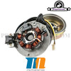 Ignition Stator + Stator OEM Motoforce for Minarelli Vertical