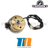 Ignition Stator + Stator OEM Motoforce for Minarelli Vertical