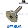 Bolt for Timming Chain Guide for Yamaha Bws/Zuma 50F & X 50 2012+ 4T