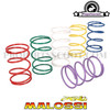 Torque Spring Malossi for Piaggio 2T