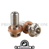 Banjo Bolt for Brake Caliper 4-Pistons (M10x22x1.25mm)