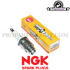 Spark Plug NGK BR6HS (3922)