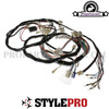 Wiring Harness for PGO Big-Max 50cc 2T