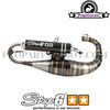 Exhaust System Stage6 R1400 Race for Minarelli Vertical