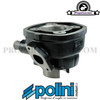 Cylinder Kit Polini Sport 50cc-10mm for Minarelli Horizontal (LC)