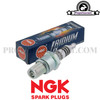 Spark Plug Iridium BR10EIX