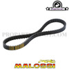 Drive Belt Malossi X-Kevlar Overrange for Minarelli Short