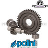 Secondary Gear Kit Polini 14/41 (2.93) for Minarelli